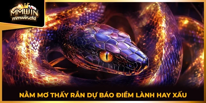Nằm mơ thấy rắn dự báo điềm lành hay xấu