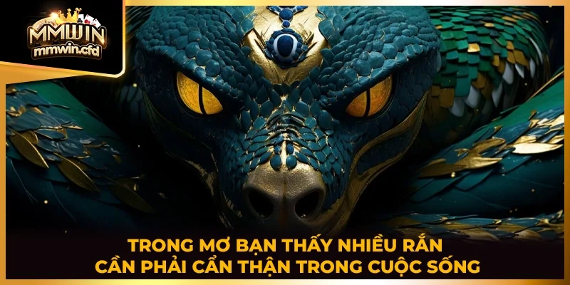 Trong mơ bạn thấy nhiều rắn cần phải cẩn thận trong cuộc sống